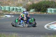 DSC (2981)